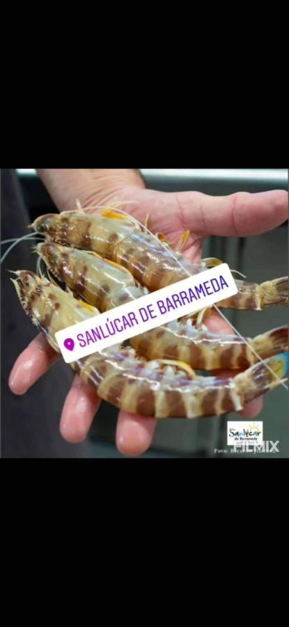 Piso En El Centro De Apartamento Sanlúcar de Barrameda